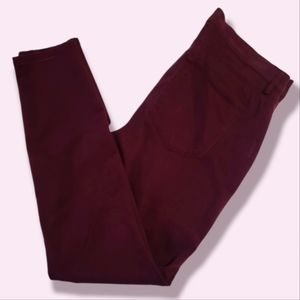 Ann Taylor Loft Velvet Pants, Size 6, Burgundy/Maroon, NWOT